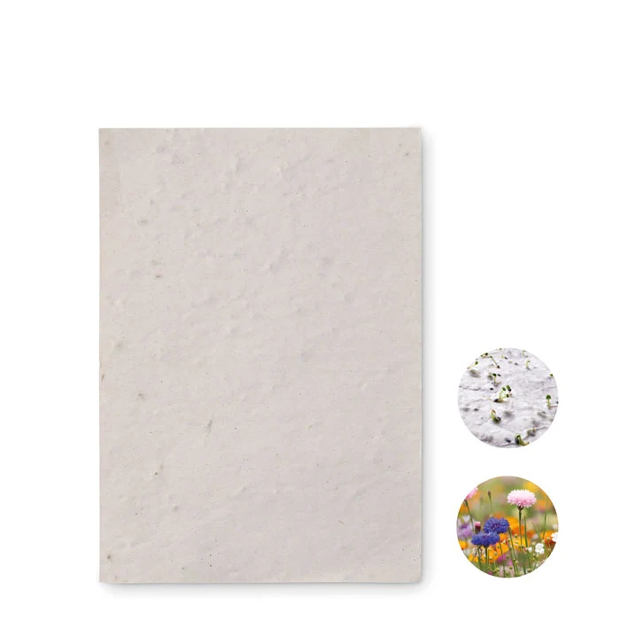 Asido DIN A6 Wildblumen Samenpapier