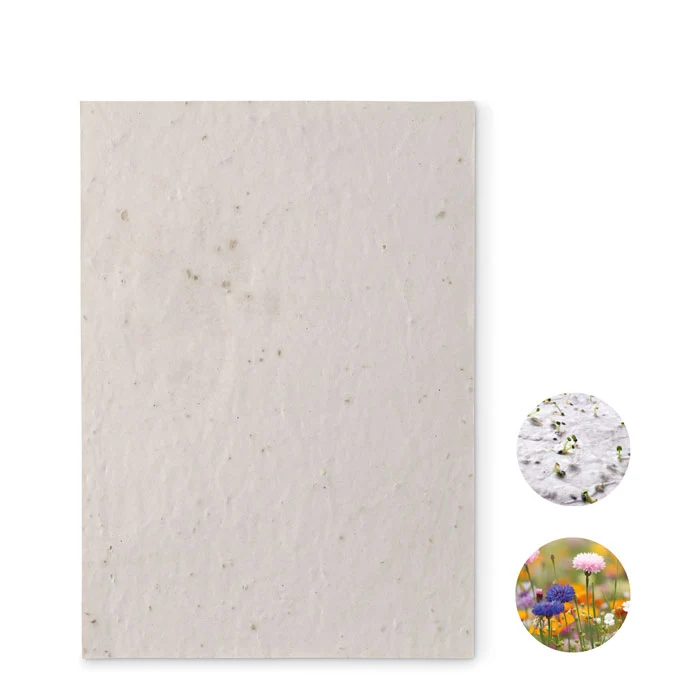 Aside DIN A5 Wildblumen Samenpapier