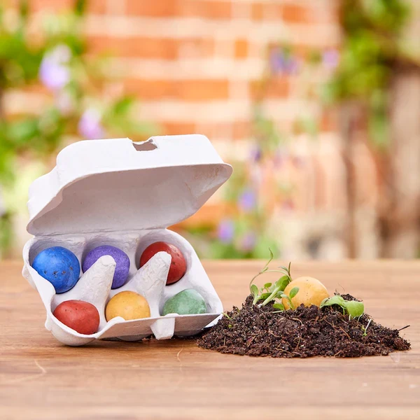 6 mittlere Blumenmurmeln im Mini-Eierkarton